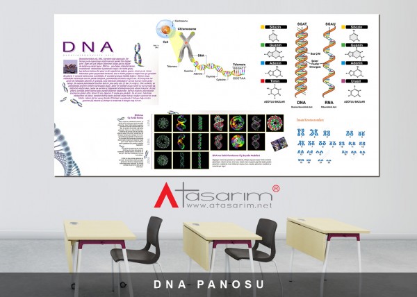 DNA Panosu 