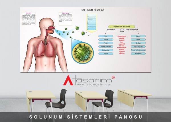 Solunum Sistemi Panosu 