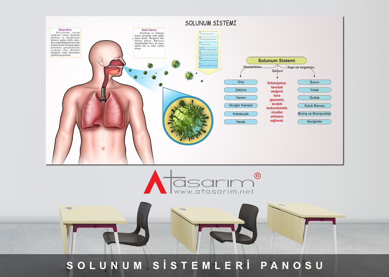 Eğitim 